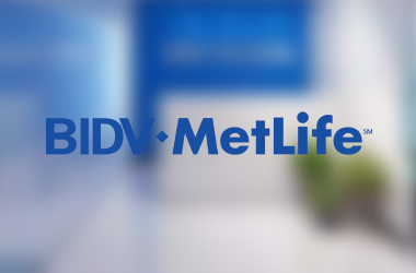 Bidv Metlife Logo 380x250 2